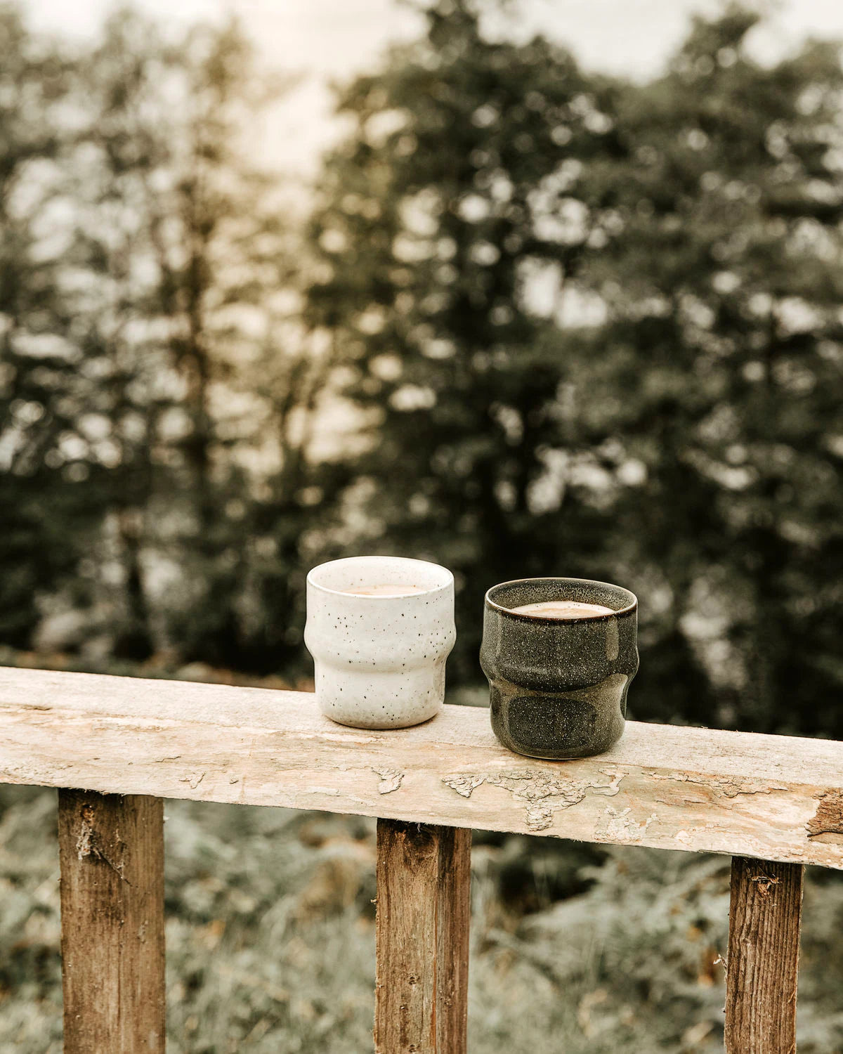 House of Doctor, Lake Mug Gray