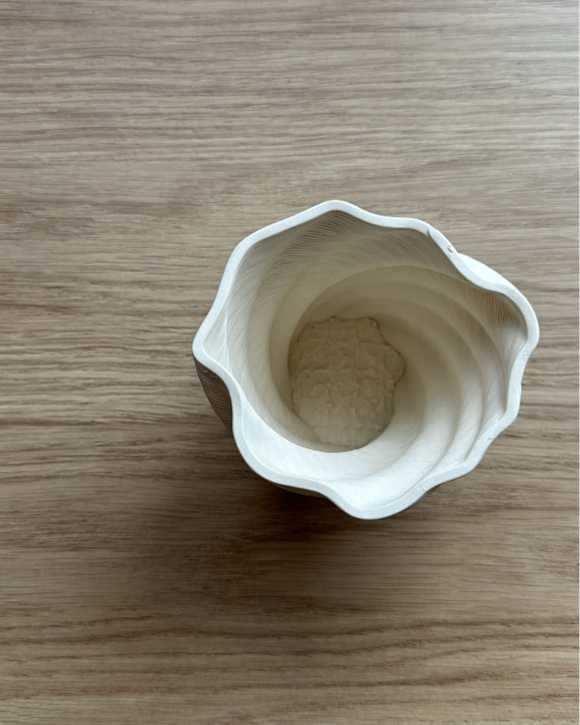 Shell Porcelain Ceramic Cup